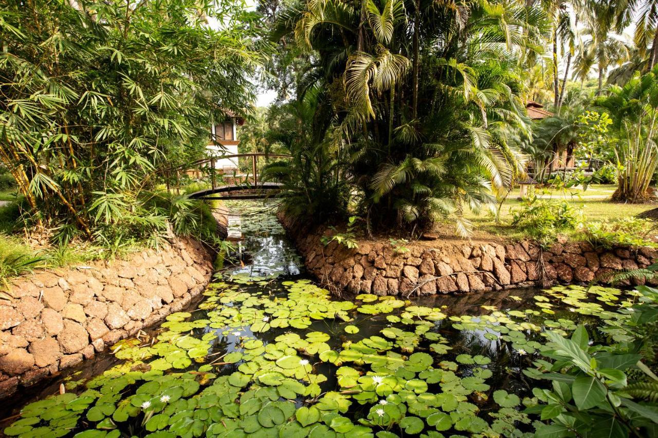 Coconut Creek Resort Mormugao Exterior foto